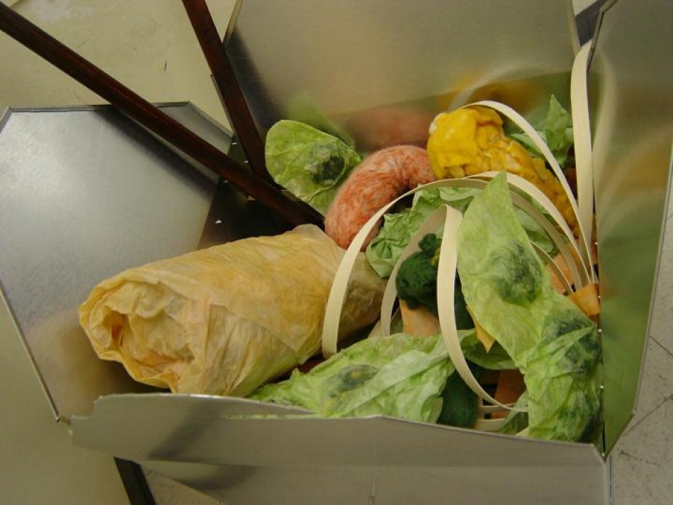 jdl_copyright_2004_chinese_take-out_3_op_720x540.jpg