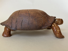 Kona The Tortoise Bowl