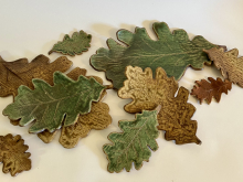 Oak Leaves